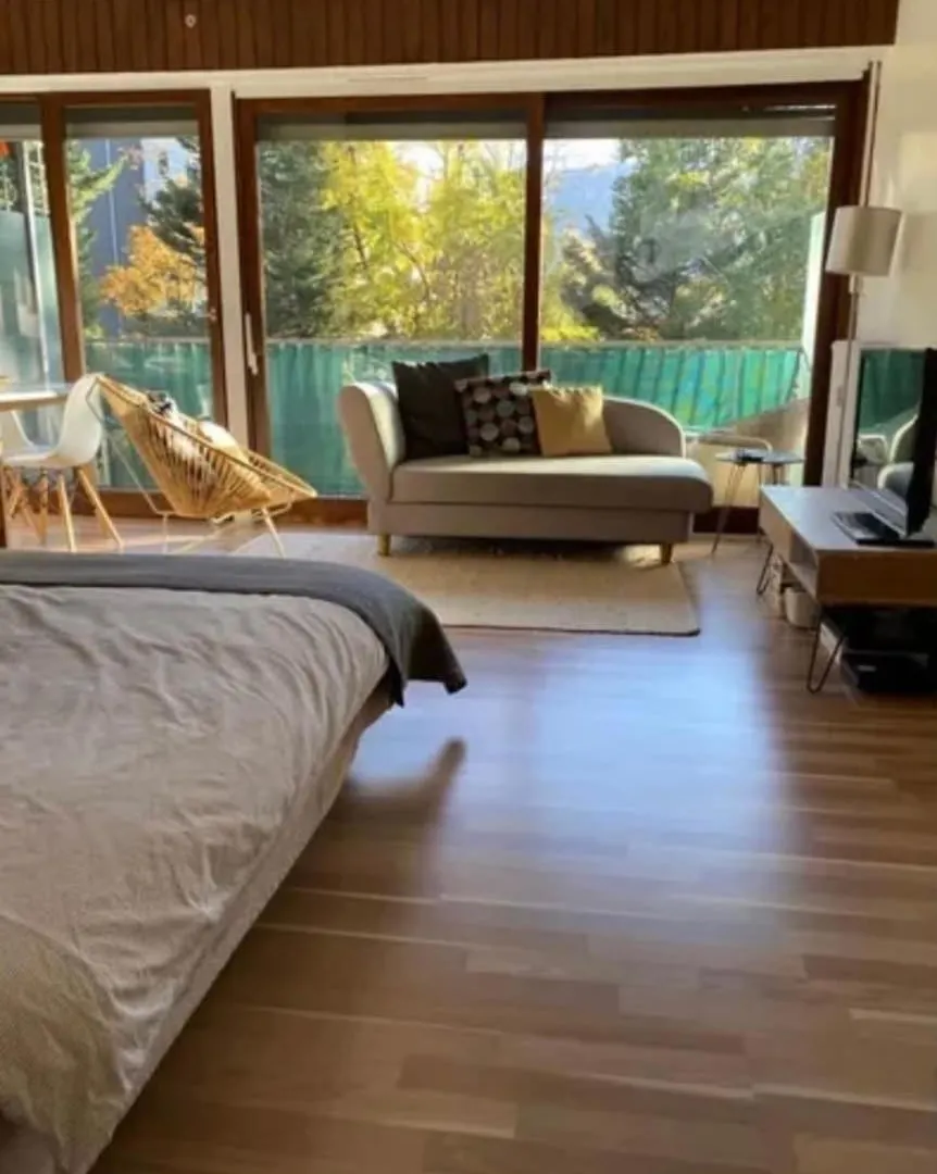 Studio Lumineux Avec Terrasse A Deux Pas De Geneve Gaillard